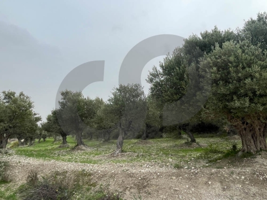 A Land of 2566 sqm , Open Sea View ,Chekka /شكا REF#NI133184 — 4