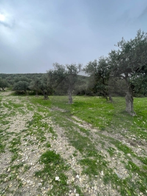 A Land of 2566 sqm , Open Sea View ,Chekka /شكا REF#NI133184 — 2