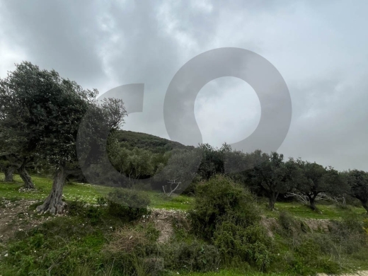 A Land of 2566 sqm , Open Sea View ,Chekka /شكا REF#NI133184 — 6