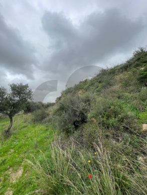 sea View, great deal, prime area, Chekka/شكا REF#NI133183 — 4