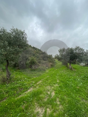 sea View, great deal, prime area, Chekka/شكا REF#NI133183 — 3