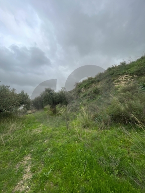 sea View, great deal, prime area, Chekka/شكا REF#NI133183 — 2
