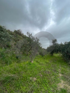 sea View, great deal, prime area, Chekka/شكا REF#NI133183 — 5