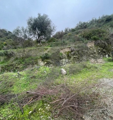 Open View, great deal, prime area, Chekka/شكا REF#NI133181 — 6