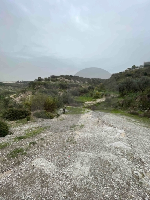 Open View, great deal, prime area, Chekka/شكا REF#NI133181 — 4
