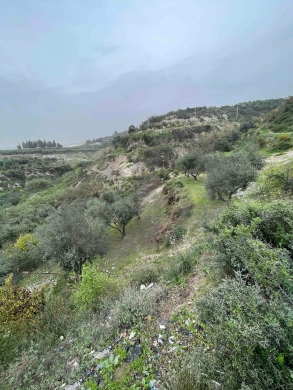 Open View, great deal, prime area, Chekka/شكا REF#NI133181 — 2