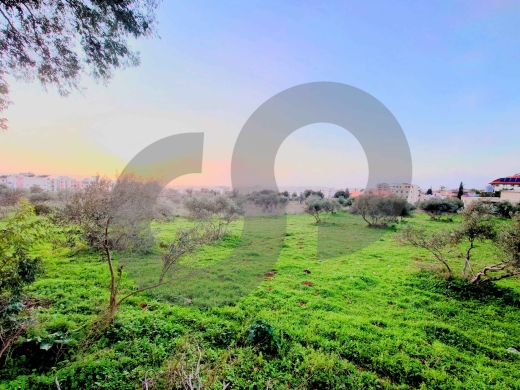 Prime C1 Development Land in Mejdleya – Zgharta/مجدليا ! REF#TN133168 — 2