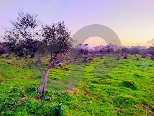 Prime C1 Development Land in Mejdleya – Zgharta/مجدليا ! REF#TN133168 — 3