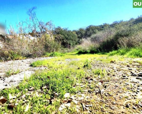 Beautiful view, Easy access, Electricity, Bayada/بياضة REF#OU133160
