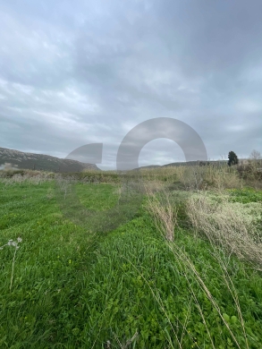 Open Sea View, Directly On the main road, Batroun /بترون REF#NI133017 — 5
