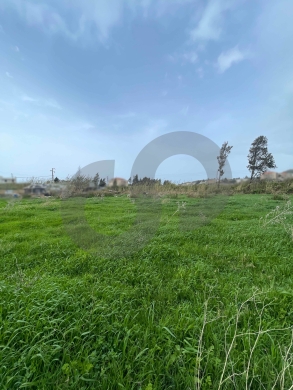 Open Sea View, Directly On the main road, Batroun /بترون REF#NI133017 — 2