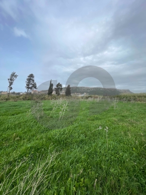 Open Sea View, Directly On the main road, Batroun /بترون REF#NI133017 — 4