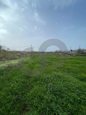 Open Sea View, Directly On the main road, Batroun /بترون REF#NI133017 — 3