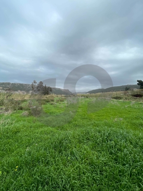 Open Sea View, Directly On the main road, Batroun /بترون REF#NI133017 — 7