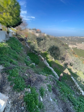 Full Sea View, 10 Minutes From Highway, Bentehel/بنتحل REF#NI133014 — 5