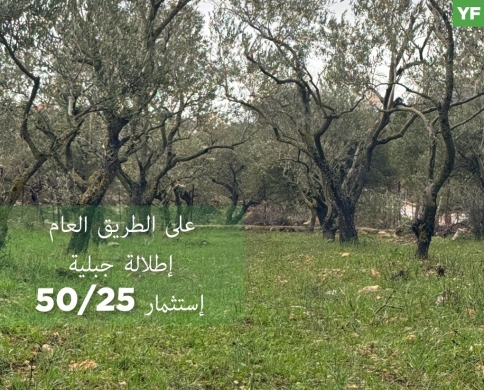 فرصة مميزة في عرمتى جبل الريحان,أرض بمساحة 2040 م/Aaramta REF#YF132933