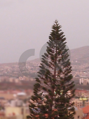 Garden of 200 sqm, Sea and Mountain View, Koura/الكورة REF#RL132625 — 2