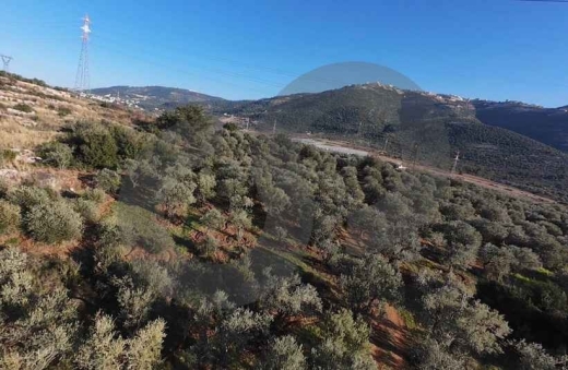 LAND/ Zgharta/زغرتا! REF#YN132295 ! — 2