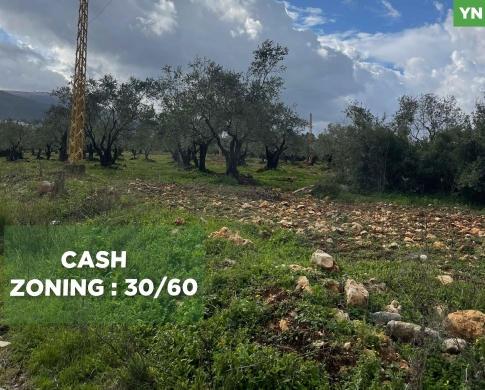 LAND/Zgharta ! REF#YN132290 !