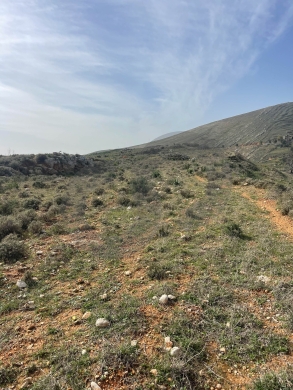 excellent opportunity for investment,zgharta,kefraya/زغرتاREF#YN132217 — 2