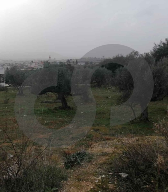 Land/Open Mountain View/ Zgharta–Alma/ زغرتا-علما ! REF#RL132056 ! — 2