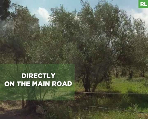 Directly on the Main Road, prime area, barsa, koura/كورة REF#RL131869