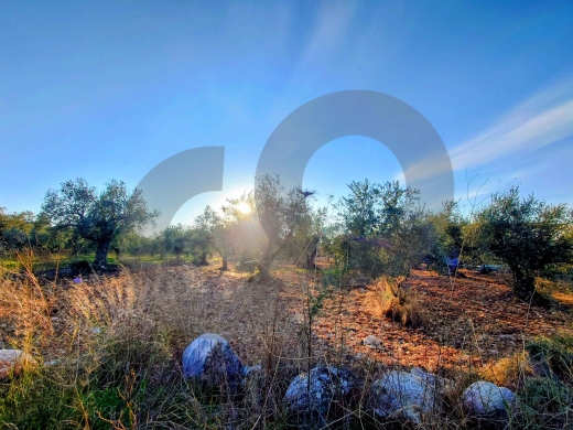 LAND/Only 20m from the main road/Nbouch-Zgharta/نبوح ! REF#TN131722 — 2