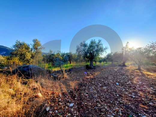 LAND/Only 20m from the main road/Nbouch-Zgharta/نبوح ! REF#TN131722 — 3