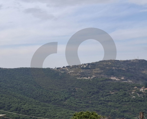 Building, garden, storage room, Jezzine / جزين REF#DI131549 — 8