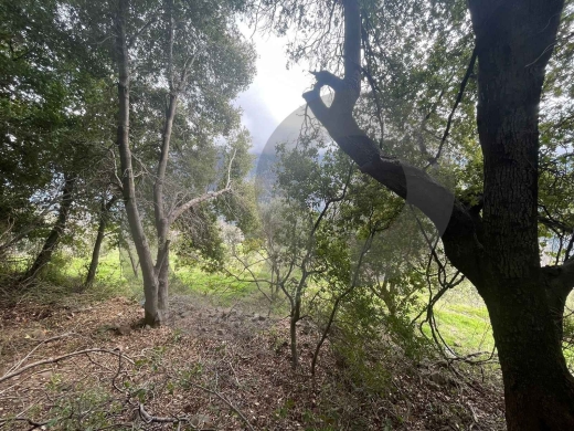 Land | Prime Residential Plot in Ain Jrein - jbeil ! REF#RS131510 — 2