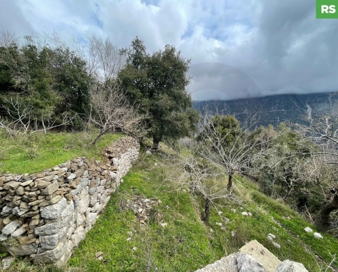 Land | Prime Residential Plot in Ain Jrein - jbeil ! REF#RS131510