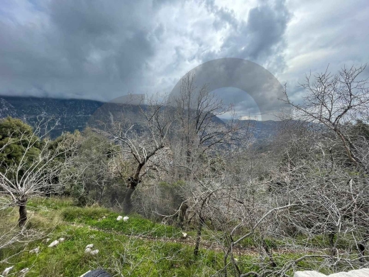 Land | Prime Residential Plot in Ain Jrein - jbeil ! REF#RS131510 — 3