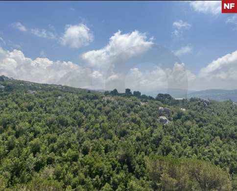 calm and prestigious area, Panoramic view, Ajaltoun/عجلتون REF#NF01736