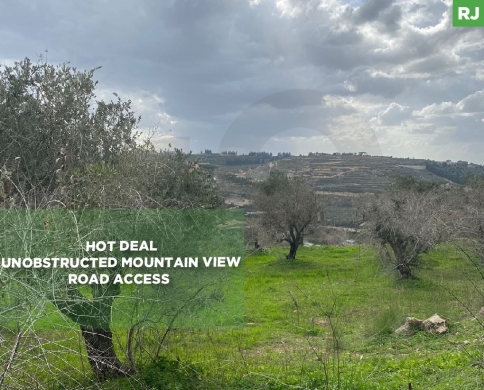 Land For Sale / Hot Deal / Aabbasiyyeh REF#RJ131239