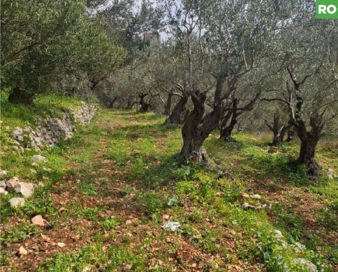 prime area, great deal, aley, bchamoun/بشامون REF#RO131233