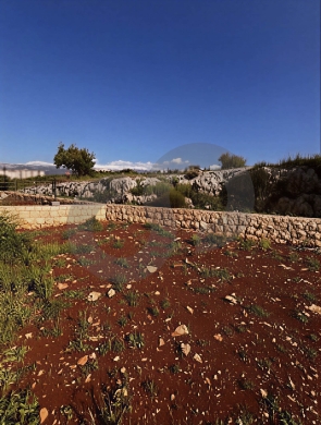 great deal,brand new, garden, koura, nakhle/نخلة , الكورة REF#BD131230 — 5