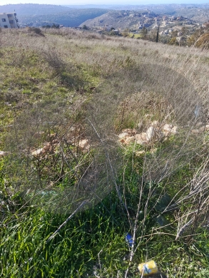 Prime Investment Opportunity | 1,200 sqm | Zoning 30/60 ! REF#YF131197 — 2