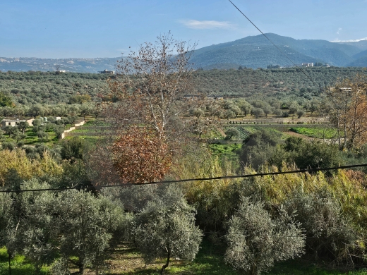 Great deal, prime area, Kfaryachit - Zgharta/زغرتا REF#PC131143 — 3
