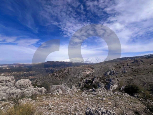 Prime 7100 sqm land Opportunity in Zaarour ! REF#JJ131130 ! — 2