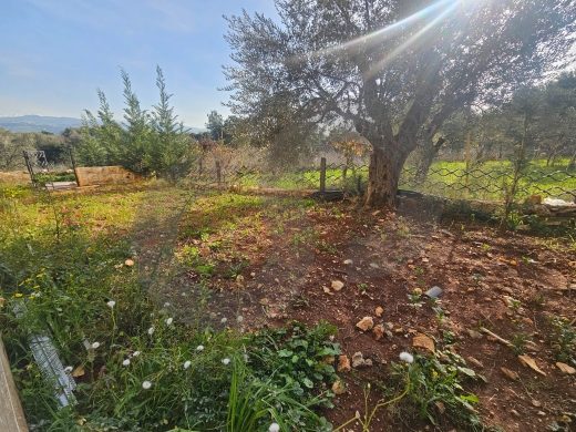 Great deal, prime area, koura, bterram/بترّام، الكورة REF#PC131126 — 11