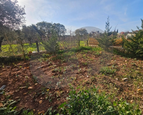 Great deal, prime area, koura, bterram/بترّام، الكورة REF#PC131126 — 12