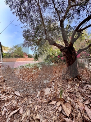 Tabarja - Kfaryassine | Private Terrace ! REF#CA131113 ! — 9