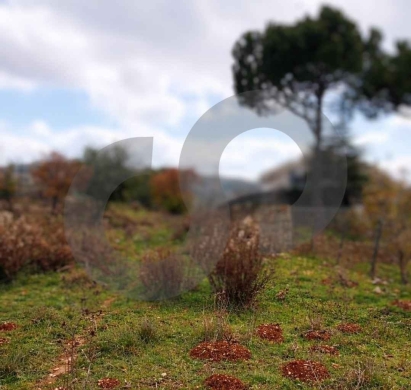 Land - mountain view IN ALEY , AIN JDIDE ! REF#HR130881 ! — 5