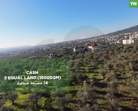 fully planted with mature olive trees, zgharta, rashiin REF#YN129611