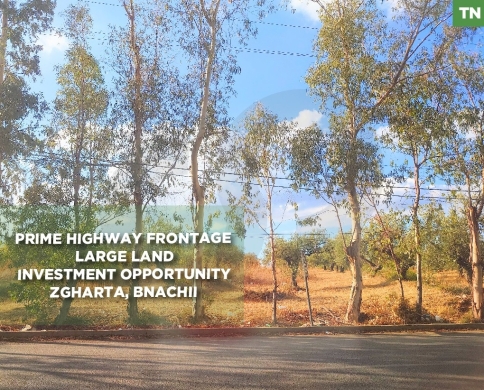 Prime Land for Sale in Bnachii -Main Road Frontage REF#TN129351