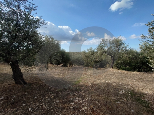 unobstructed open view, great deal, zgharta, bnache/بنشعي REF#TN129256 — 2