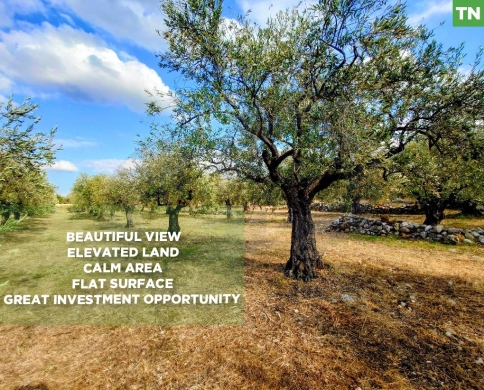 unobstructed open view, great deal, zgharta, bnache/بنشعي REF#TN129256