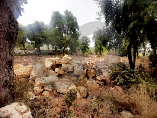 Prime Land for Sale in Fatri – Jbeil REF#RS128063 — 2