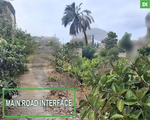 3100 SQM Land for Sale in SAIDA / صيدا REF#DI127630