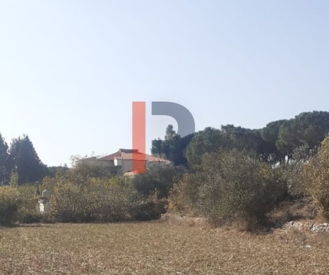 R9-3892 Three Lands with Old Houses for Sale in Jebrayel – Akkar, 7,050 m² — 9